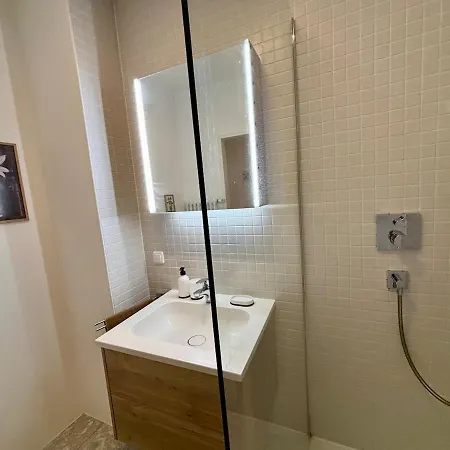Apartment Neu Renoviert Linzer Altstadt Self Check In Linz