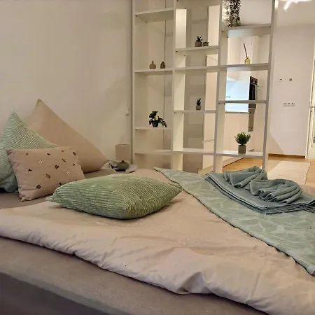 Apartment Neu Renoviert Linzer Altstadt Self Check In *