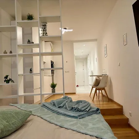 Apartment Neu Renoviert Linzer Altstadt Self Check In Linz